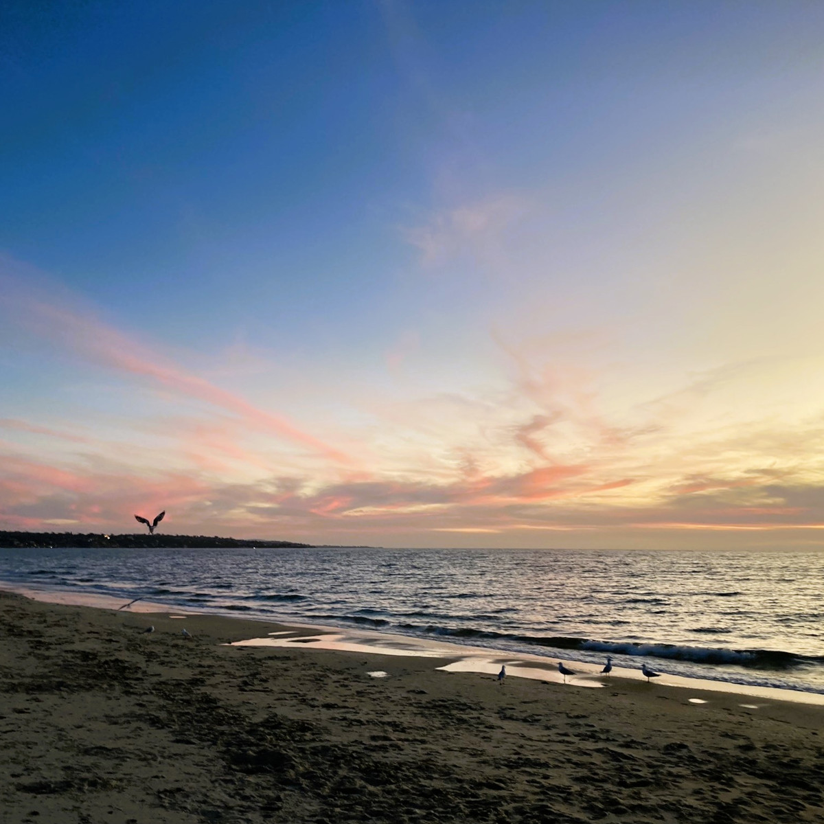 the blue hour seaford beach