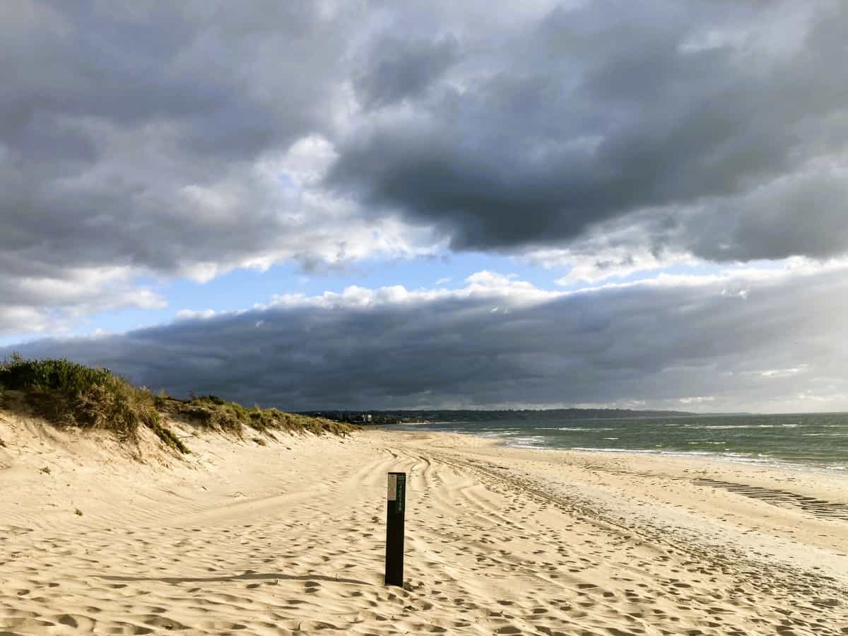 beach view